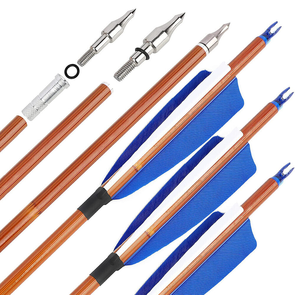 12pcs Archery 30" Carbon Arrows 4" Feathers SP500 Compound Recurve Bow Target Hunting